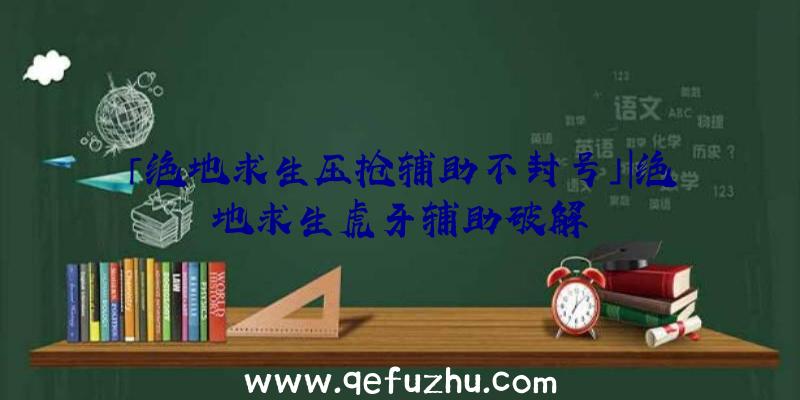 「绝地求生压抢辅助不封号」|绝地求生虎牙辅助破解